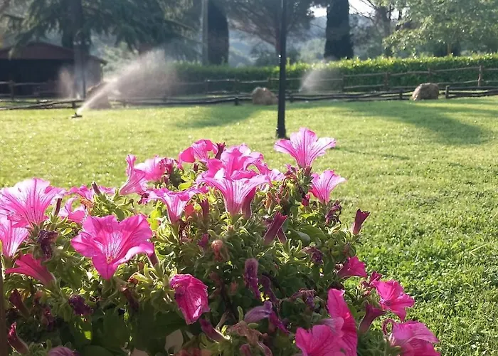 Vepres Massa Martana